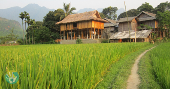 On wooden stilts in Mai Hich village